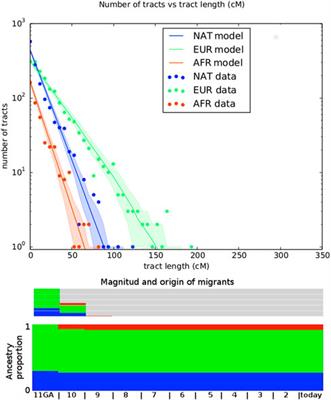 Indigenous Ancestry and Admixture in the Uruguayan Population